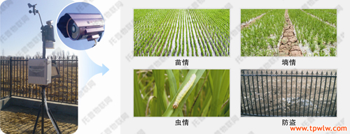 稻田种植智能管理解决方案_百工联_工业互联网技术服务平台